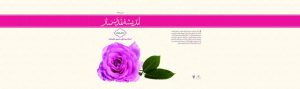 طرح جلد کتاب اندیشه تمدن ساز